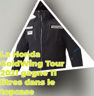 R&eacute;centes nouvelles goldwin